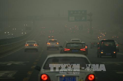 10% người giàu nhất thế giới xả 50% lượng khí thải CO2 toàn cầu ảnh 1